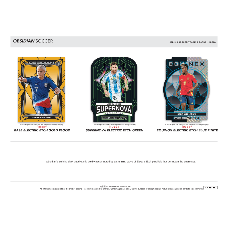 2024/25 Panini Obsidian Soccer Hobby 12 Box Case